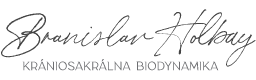 logo branislav holbay